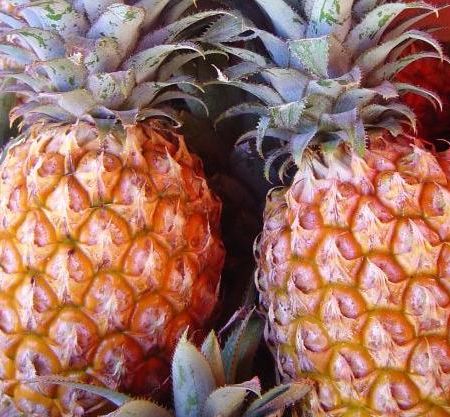 Cum sa obtinem un ananas din fruct